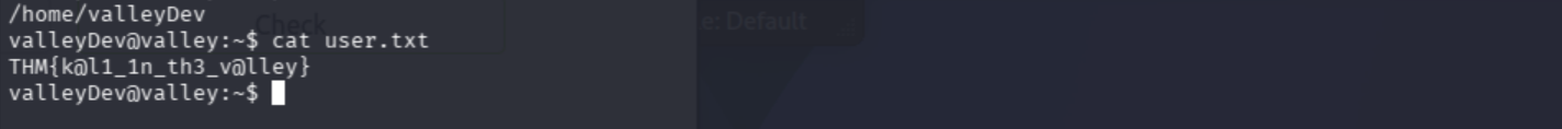 User flag retrieved